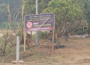 Warga Pangkalan Benteng Keluhkan Asap Karhutla dan Pembakaran Batok Kelapa, Kades Benarkan Aktivitas