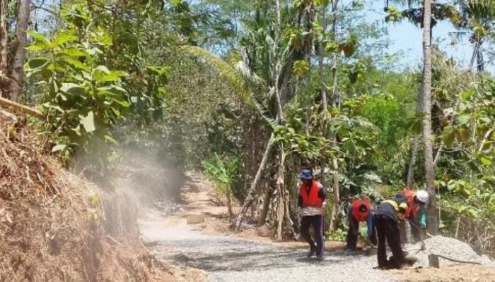 Dinas Perkimtan Pacitan Targetkan Penanganan 288 Ruas Jalan Lingkungan pada 2026