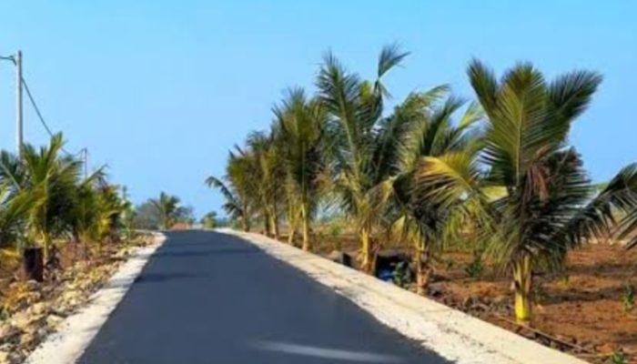 Jalan Menuju Pantai Buyutan Kian Mulus, Pacitan Perkuat Akses Wisata