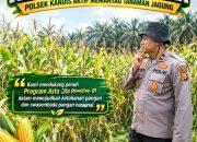 Kawal Asta Cita Presiden, Polsek Kandis Aktif Pantau Perkembangan Tanaman Jagung