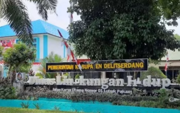 Respons cepat kabid DLH deli serdang R.Sipayung patut diapresiasi penhaduan limbah langsung CEPAT ditanggapi