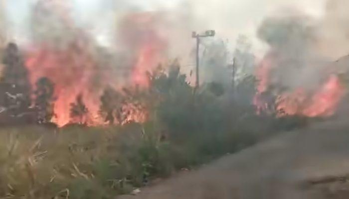 kabut asap kepung maluku,kinerja dishut disorot