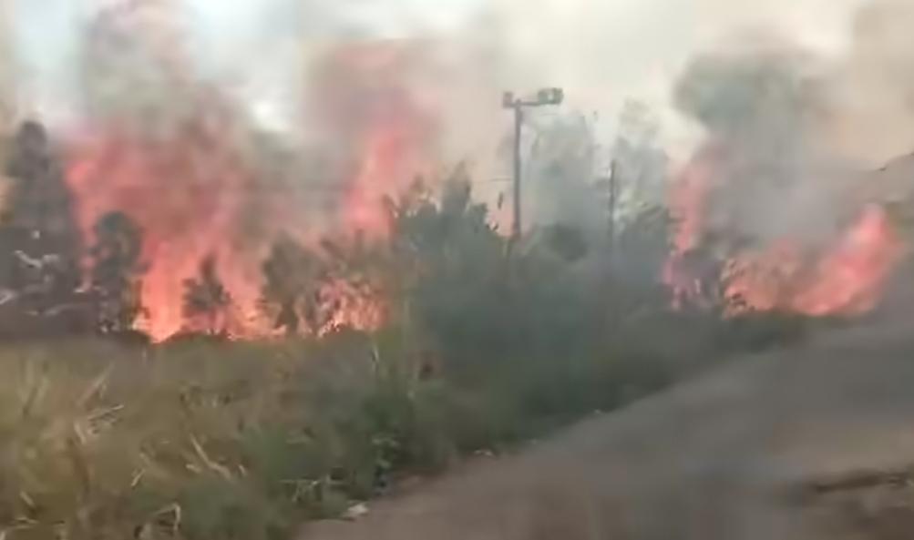 kabut asap kepung maluku,kinerja dishut disorot 2 IMG 20261009 182951