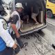 Tim Dishub Cakrawala Sapu Bersih Jukir Liar Di Medan Marelan