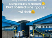 Viral Isu Video 6 Menit Dikaitkan dengan Karyawan HWI Jepara, Begini Respons dan Reaksi Publik
