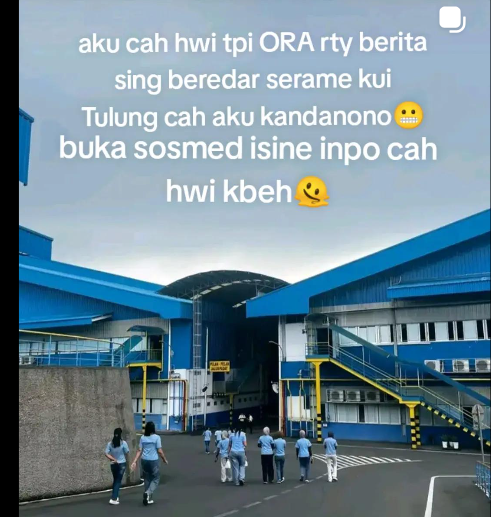 Viral Isu Video 6 Menit Dikaitkan dengan Karyawan HWI Jepara, Begini Respons dan Reaksi Publik