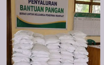 bantuan pangan beras 30 kg alokasi okt–des 2026 mulai dicairkan, cek update pkh bpnt tahap 4 dan modal usaha ppse 3 Bantuan Pangan Beras 30 Kg Alokasi Okt–Des 2026 Mulai Dicairkan, Cek Update PKH BPNT Tahap 4 dan Modal Usaha PPSE